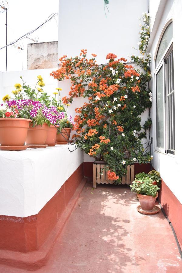 Apartamentos Veedor Cádiz Buitenkant foto